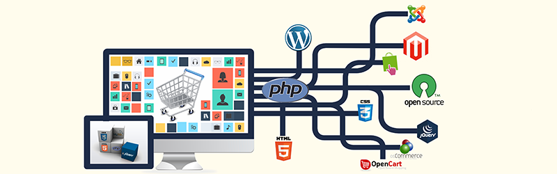 Web Application Development Service Company